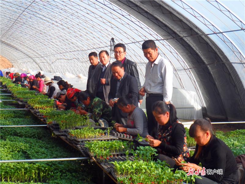 甘肃省科学技术厅科技特派员制度在甘肃的实践与创新